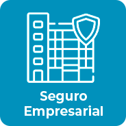 TRK Seguros Dibracam