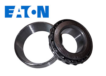 Conjunto Composto por Capa